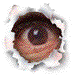EYE_LEFT