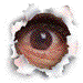 eye_right