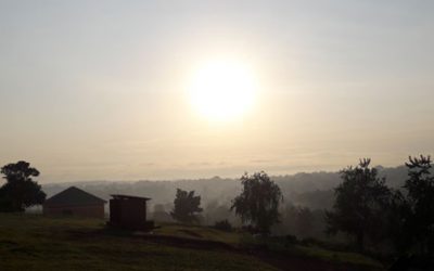 Robert’s second blog from Uganda